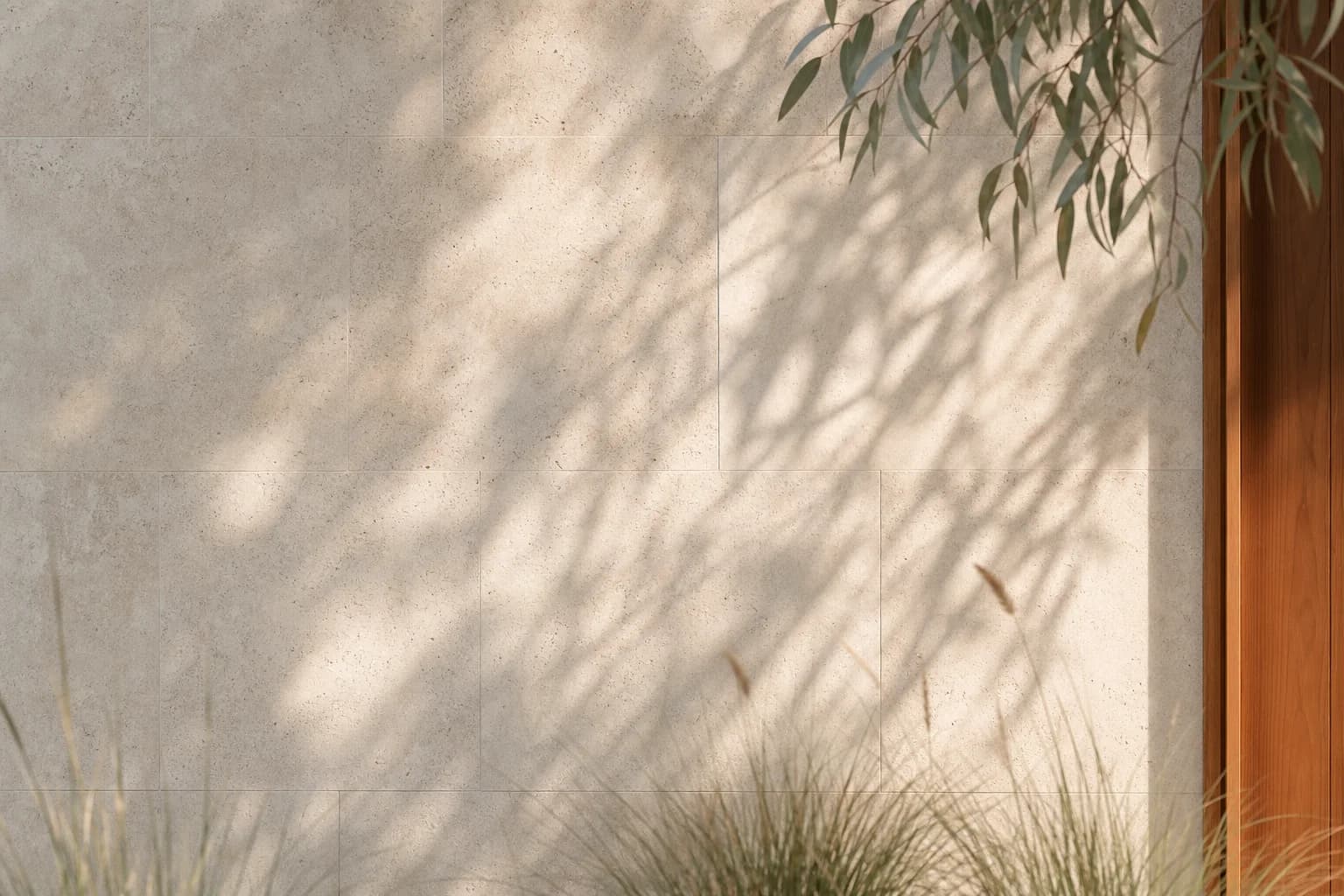 Morning light and eucalyptus shadows on the limestone wall of an Australian home